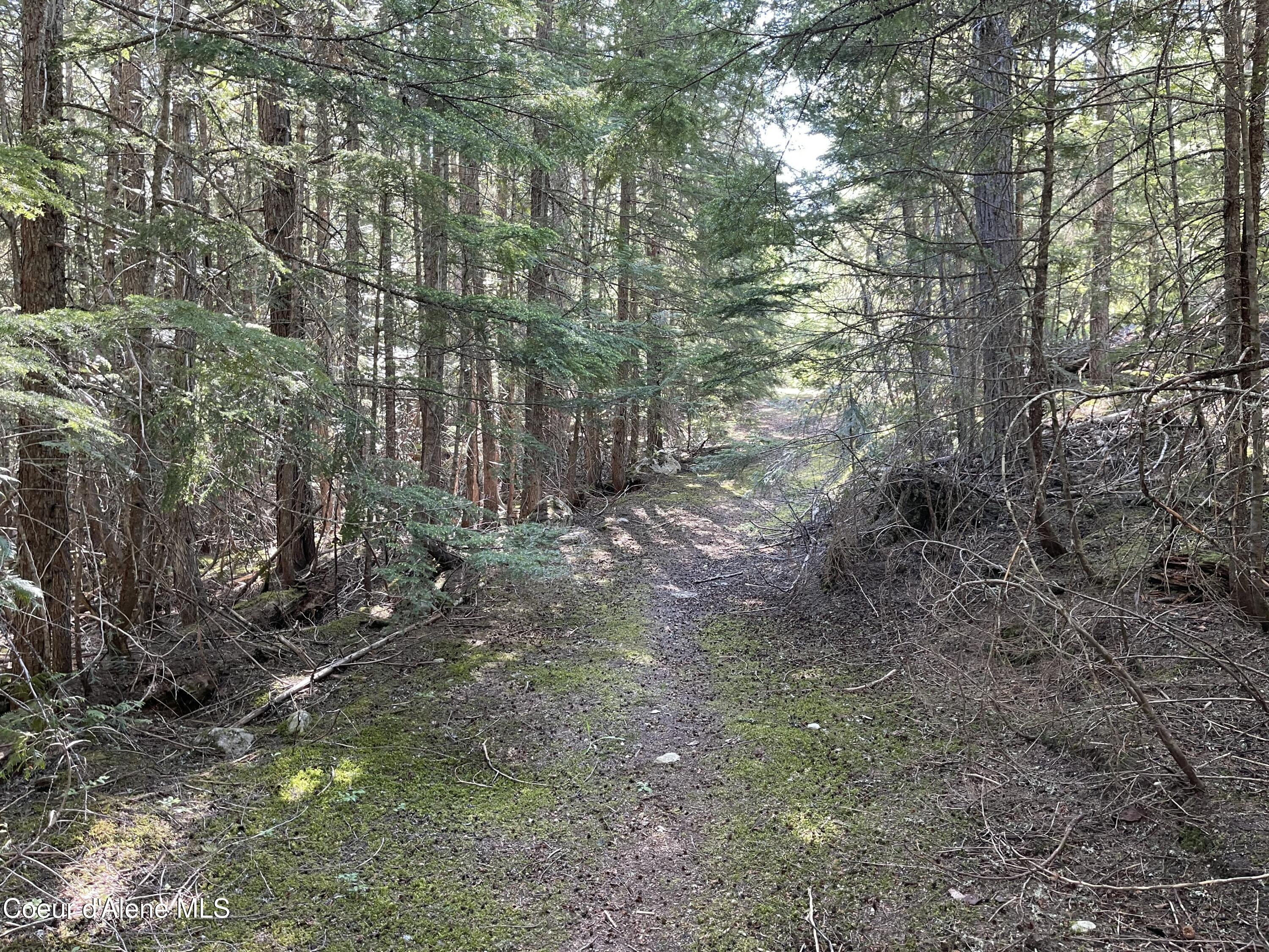 20-acres Canoe Pt Road Coolin, ID 83821 - Photo 27 of 34 Trail