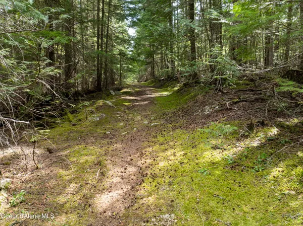 $747,000 | 20-acres Canoe Pt Road, Coolin, ID 83821