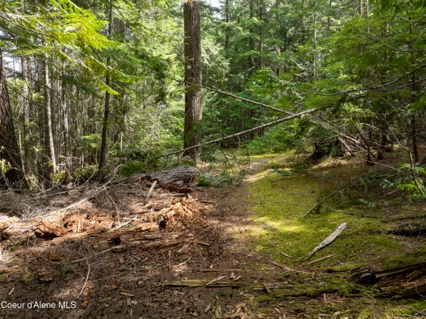 $747,000 | 20-acres Canoe Pt Road, Coolin, ID 83821