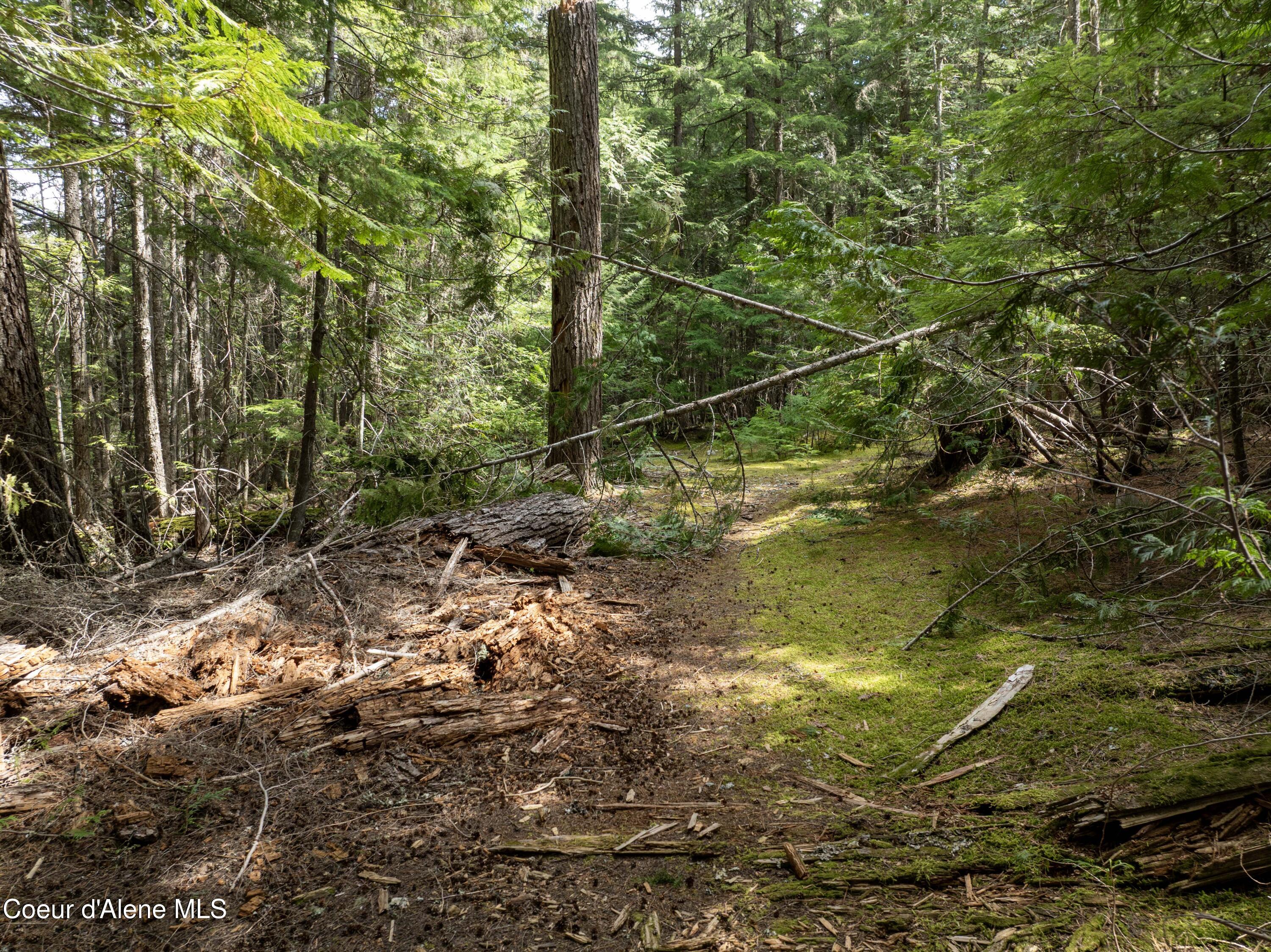 20-acres Canoe Pt Road Coolin, ID 83821 - Photo 32 of 34 Property