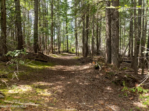 $747,000 | 20-acres Canoe Pt Road, Coolin, ID 83821