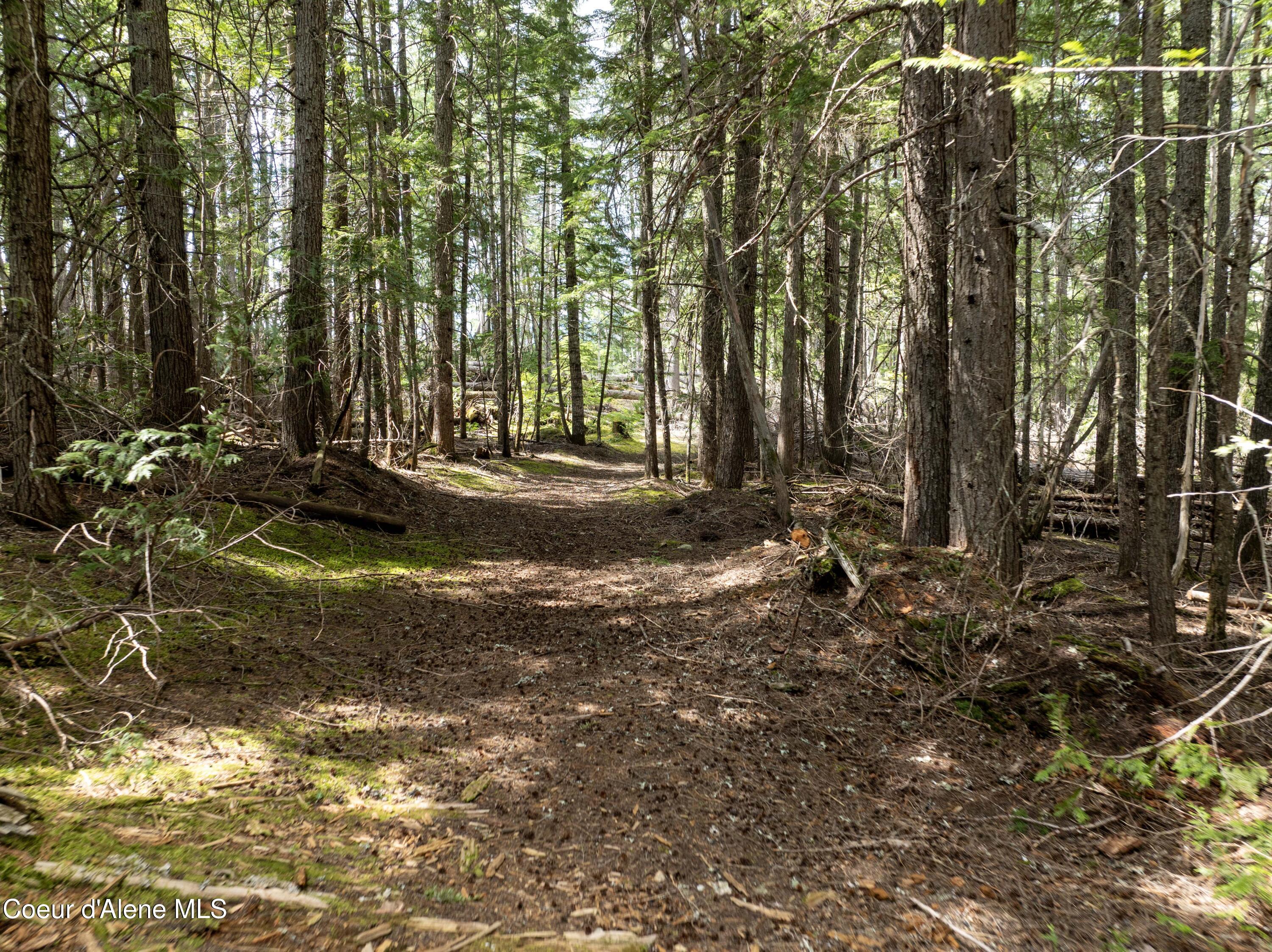 20-acres Canoe Pt Road Coolin, ID 83821 - Photo 8 of 34 Trail