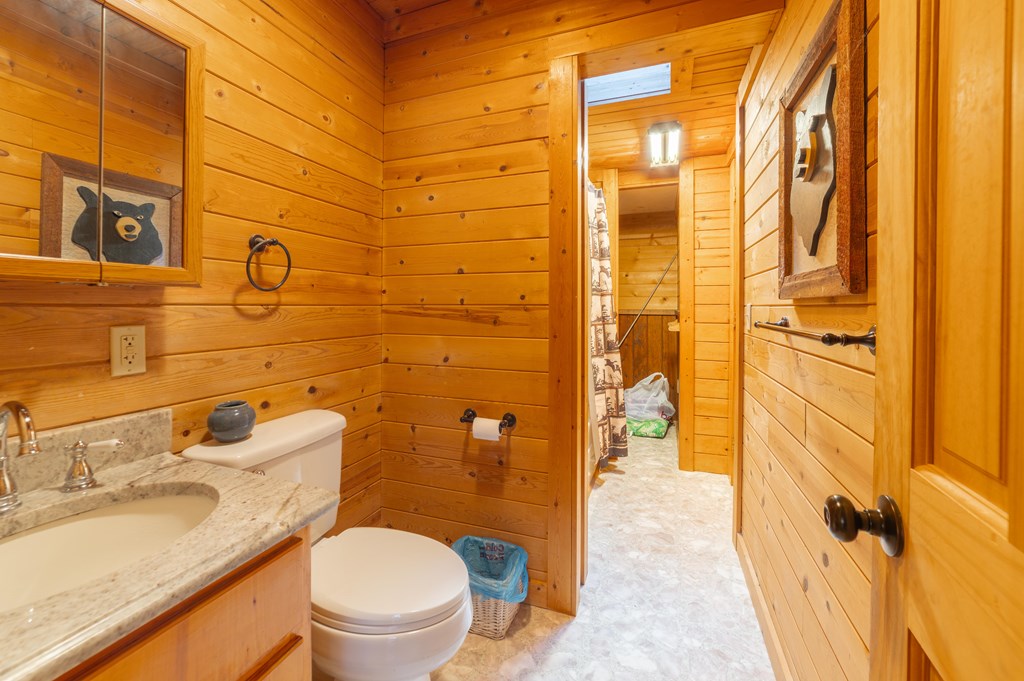 133 TJ Lane Murphy, NC 28906 - Photo 16 of 23 a bathroom with a sink a toilet and shower