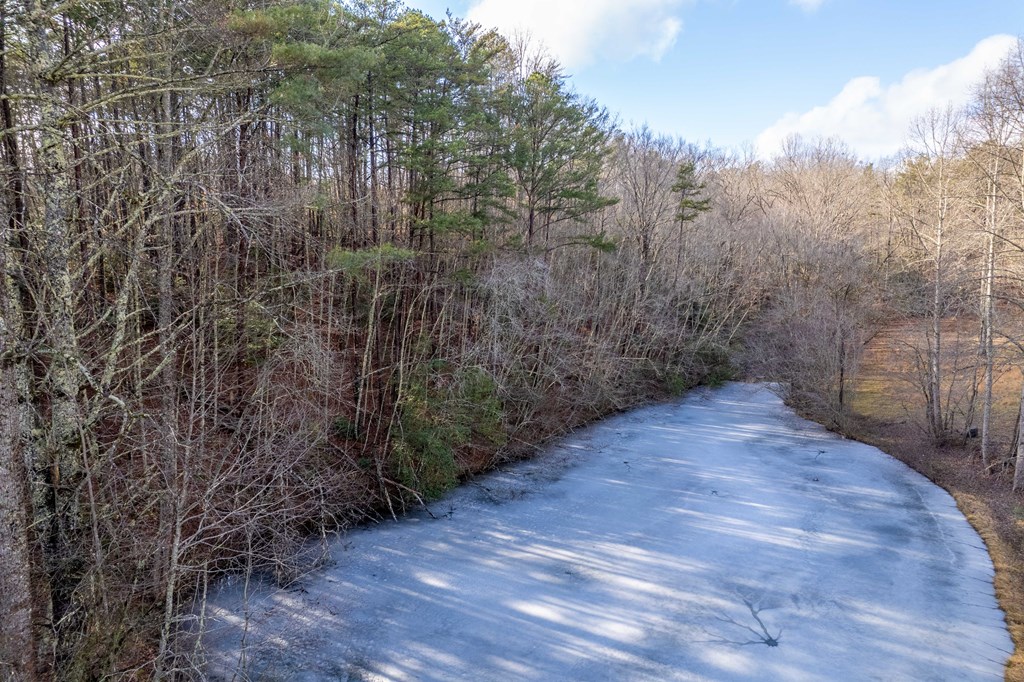 133 TJ Lane Murphy, NC 28906 - Photo 10 of 23 a view of a backyard of the house