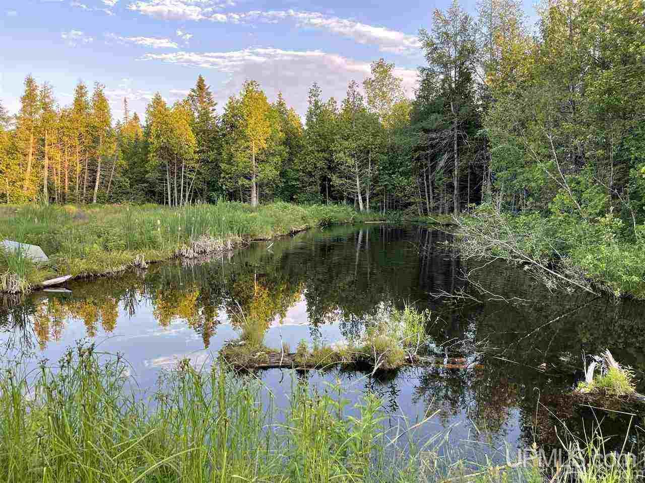 2374 S Carlson Road Manistique, MI 49854 - Photo 5 of 18 Gallery Image 5