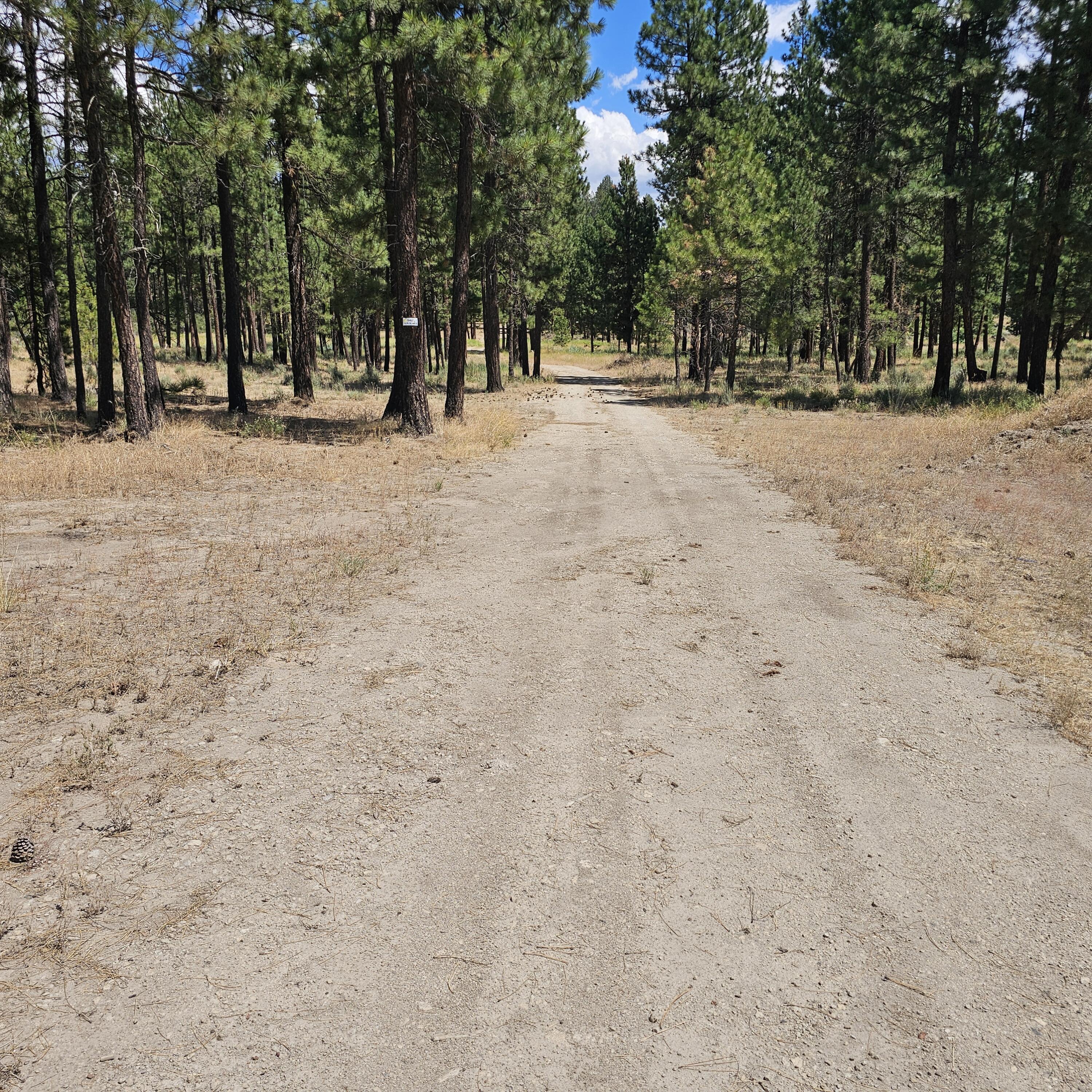 33005 Godowa Springs Road Beatty, OR 97621 - Photo 33 of 36 20250728_141056