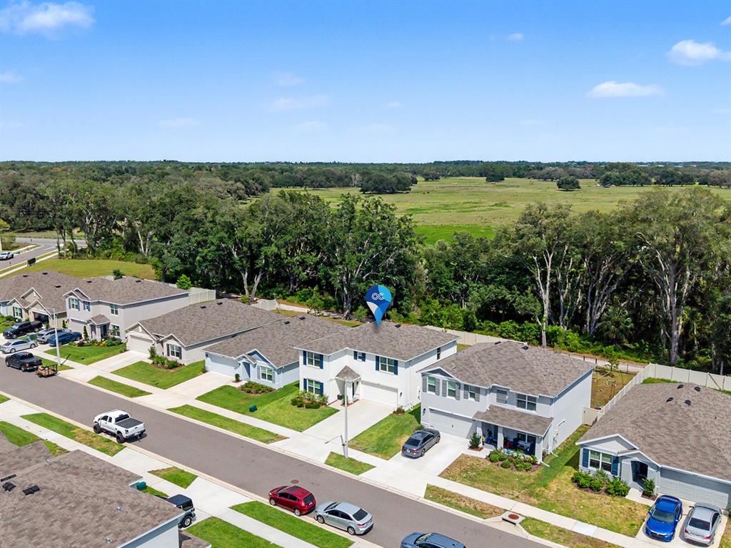 13484 Mylion Way Spring Hill, FL 34610 - Photo 44 of 53
