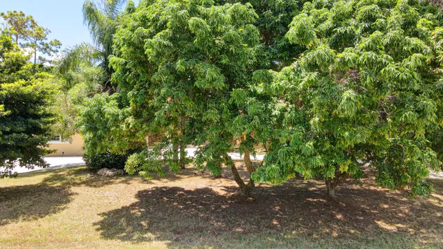 $6,000 | 9033 Winding Woods Drive, Lake Worth, FL 33467