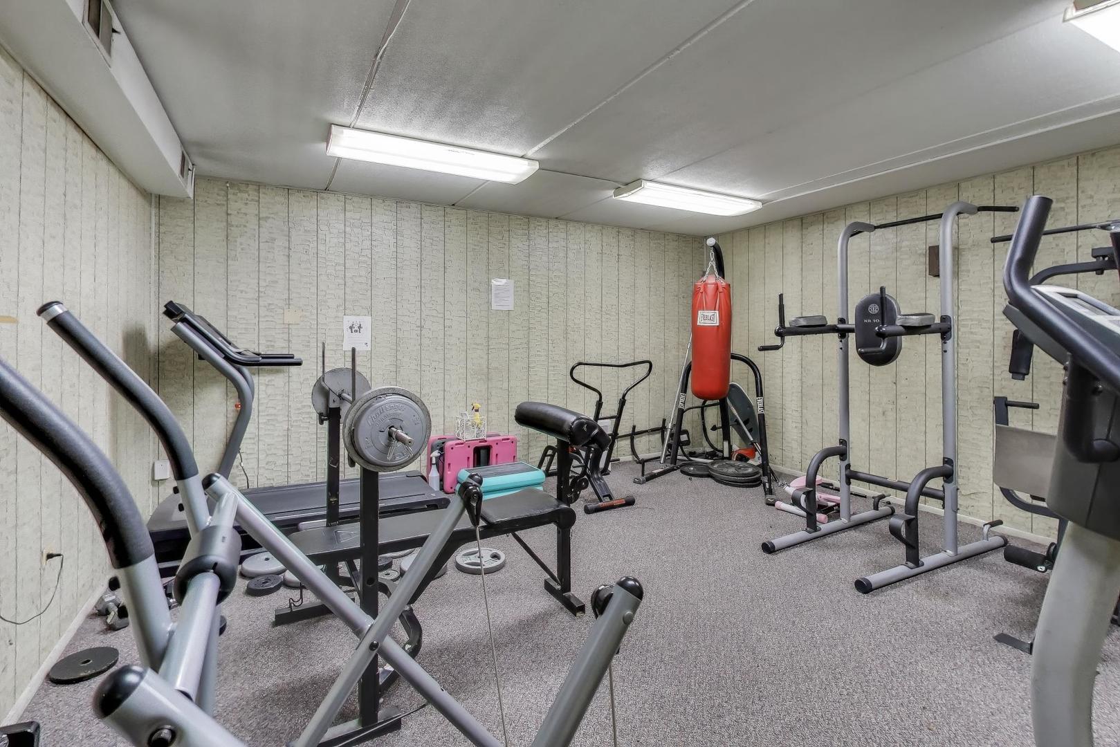 841 North York Street, Unit 109 Elmhurst, IL 60126 - Photo 19 of 34 a view of a room with gym equipment