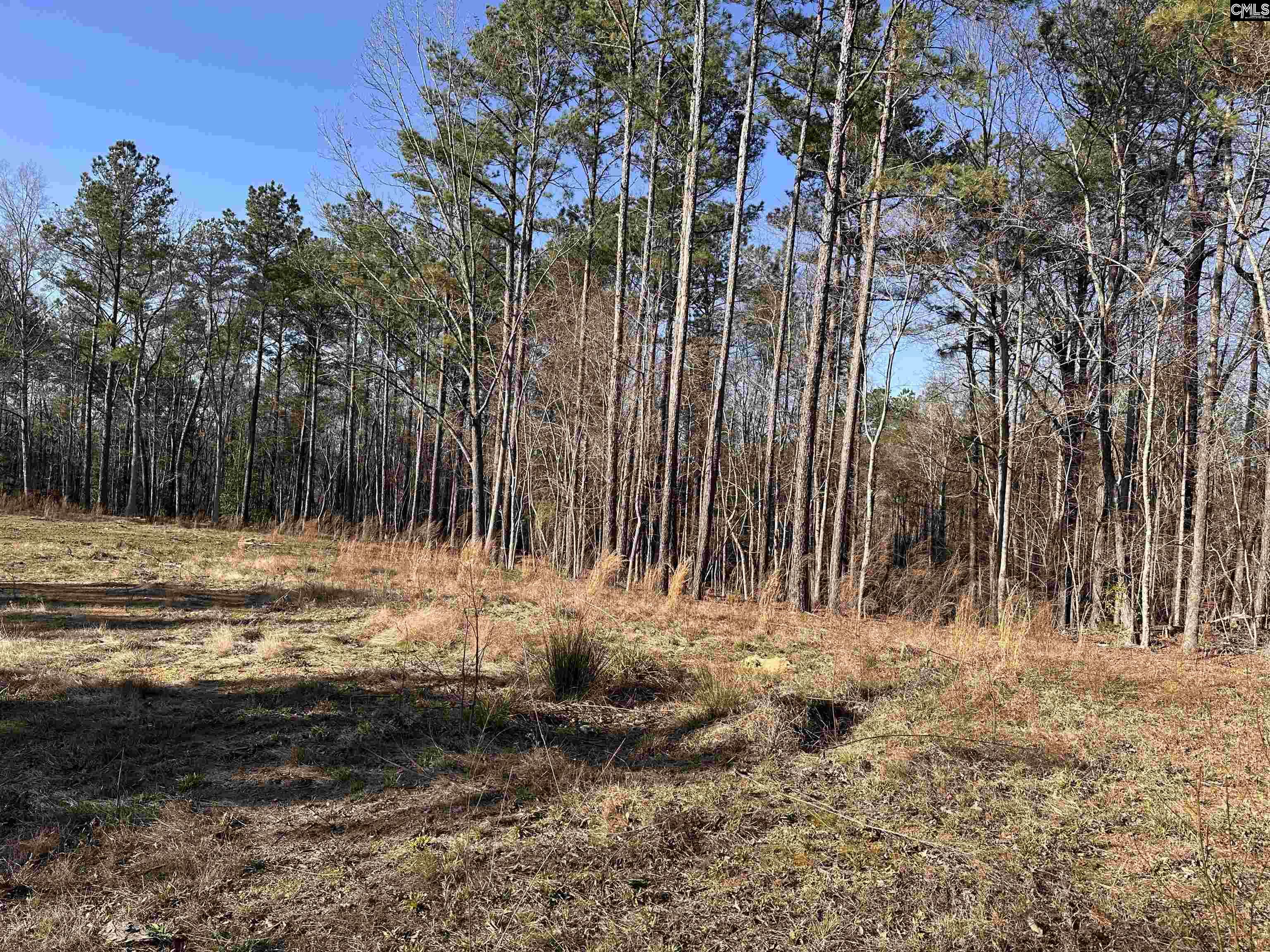 495 State Rd S-28-303 Ridgeway, SC 29130 - Photo 5 of 9