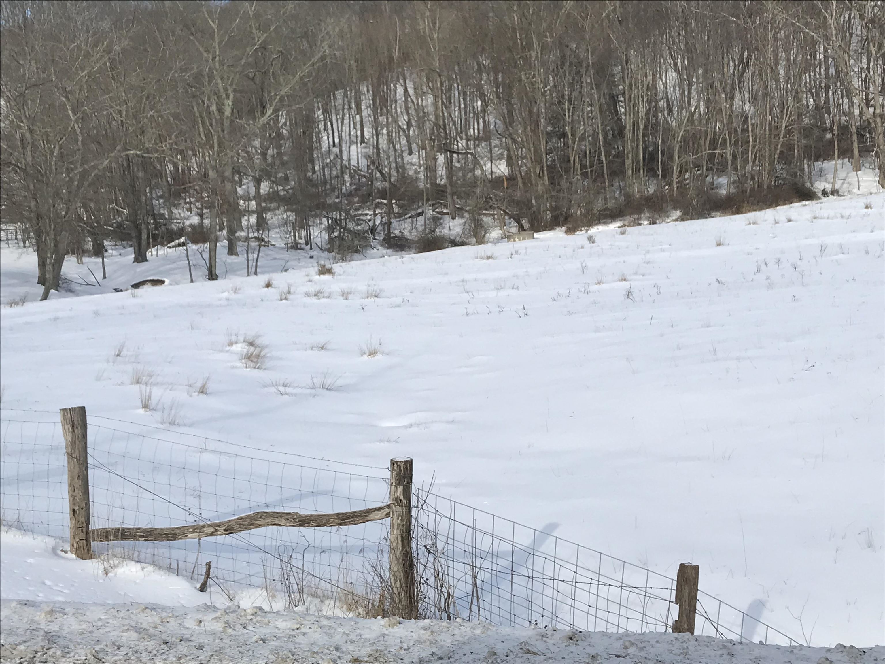 1004 Jackson River Road Monterey, VA 24465 - Photo 11 of 13