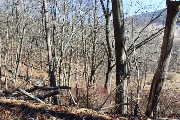 $180,000 | 1004 Jackson River Road, Monterey, VA 24465