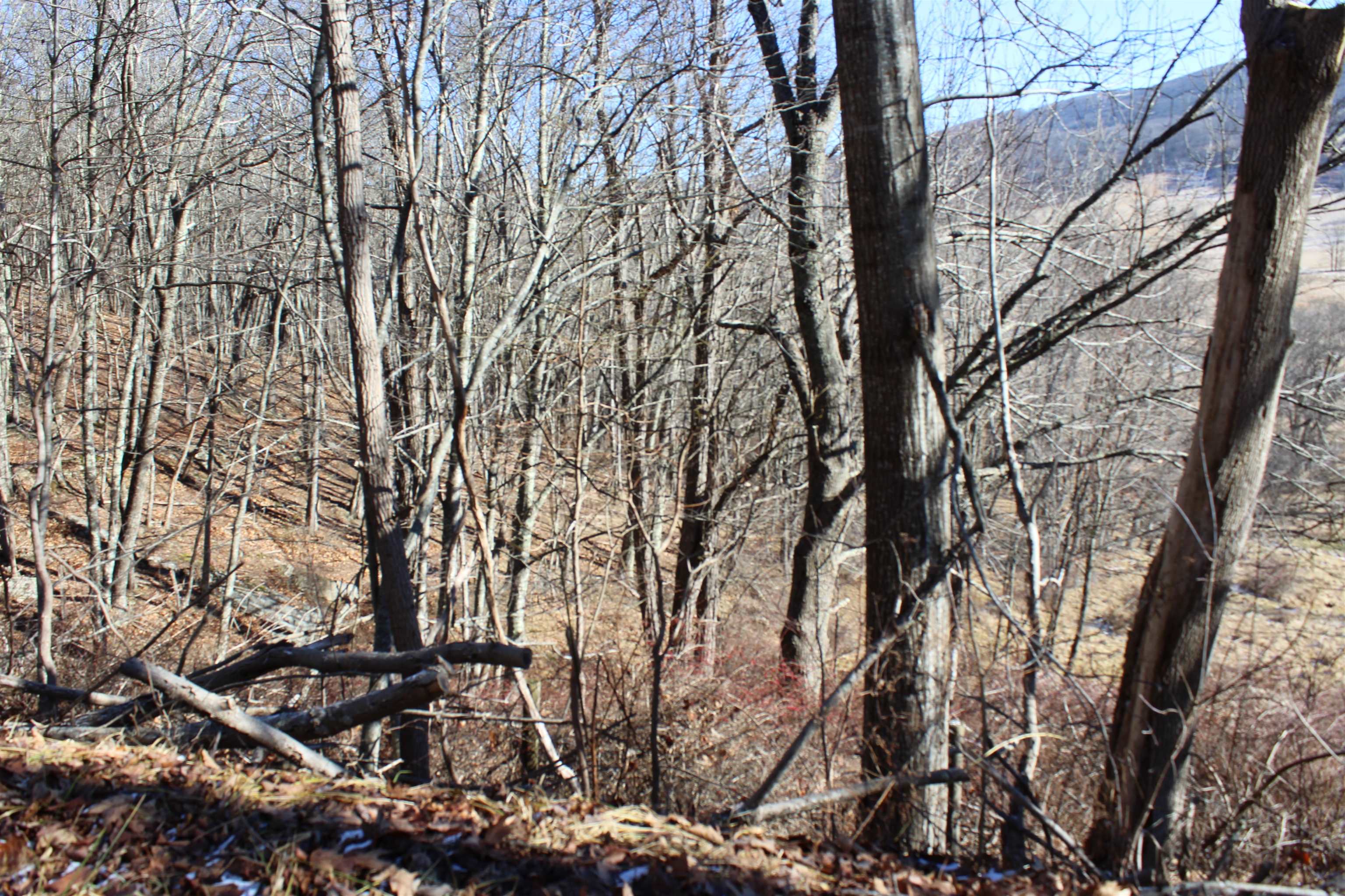 1004 Jackson River Road Monterey, VA 24465 - Photo 12 of 13