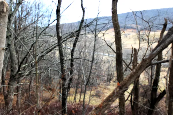 $180,000 | 1004 Jackson River Road, Monterey, VA 24465