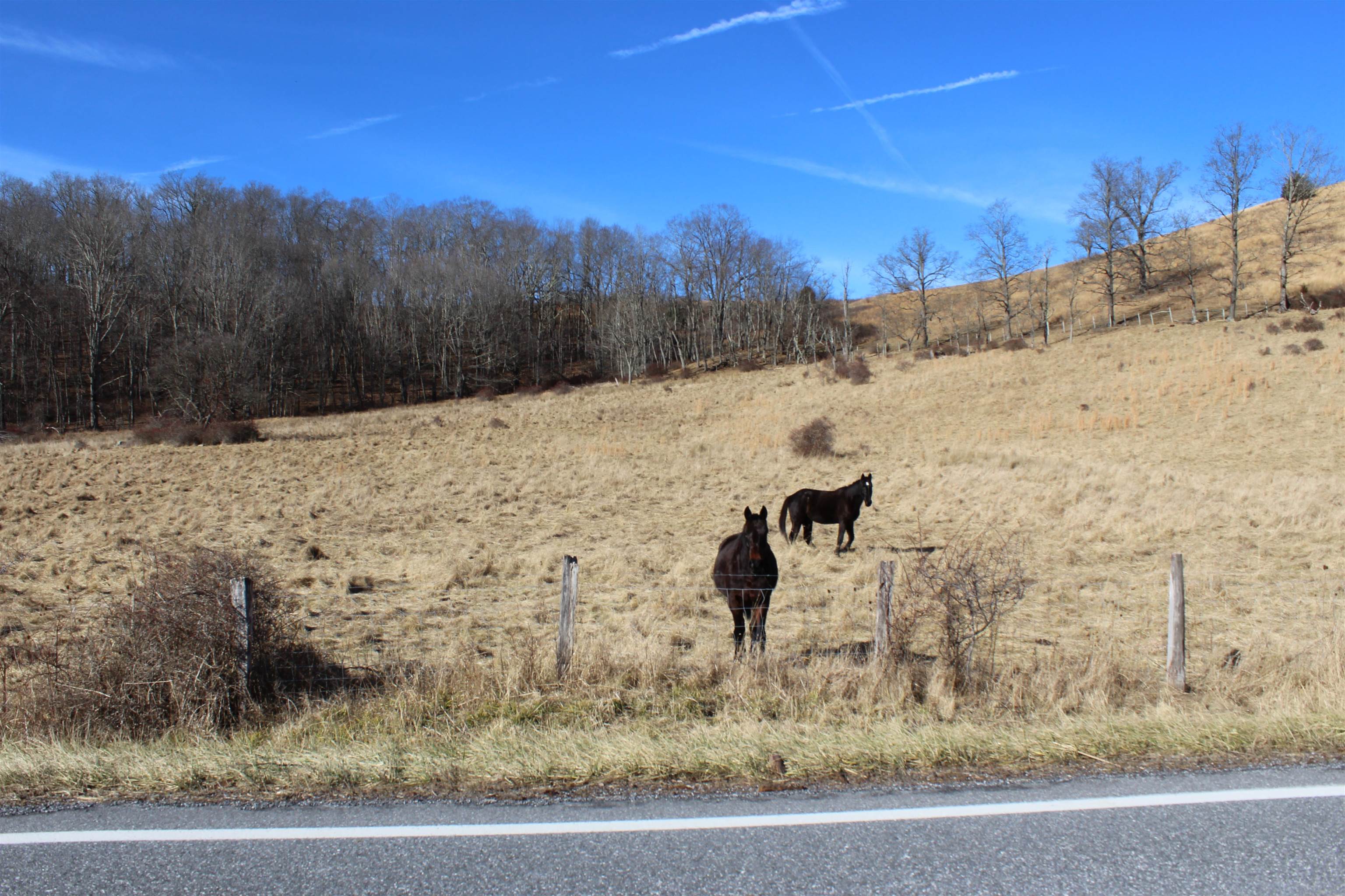 1004 Jackson River Road Monterey, VA 24465 - Photo 2 of 8