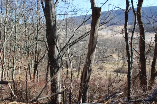 a view of yard covered with snow in the background