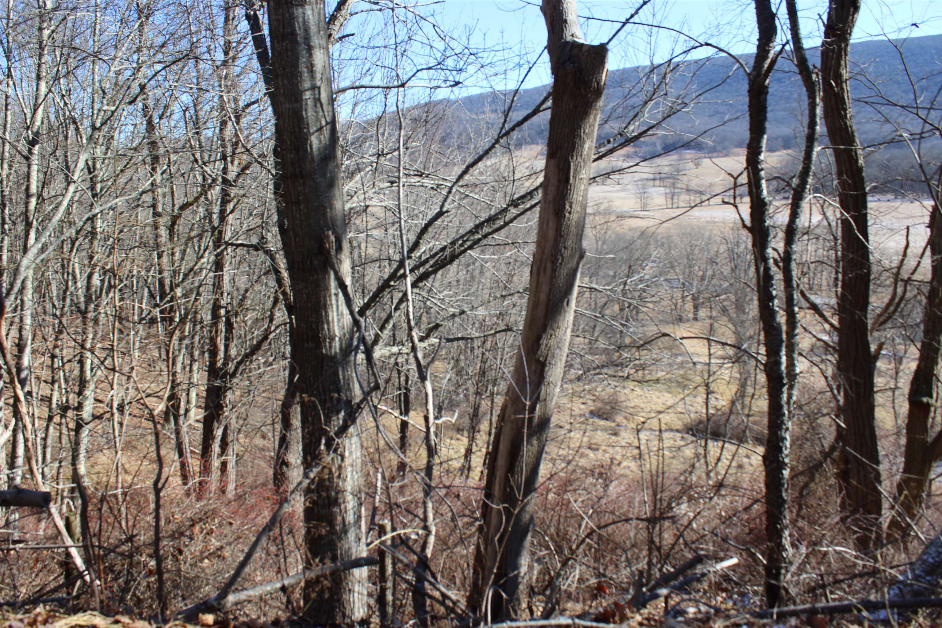 1004 Jackson River Road Monterey, VA 24465 - Photo 3 of 13