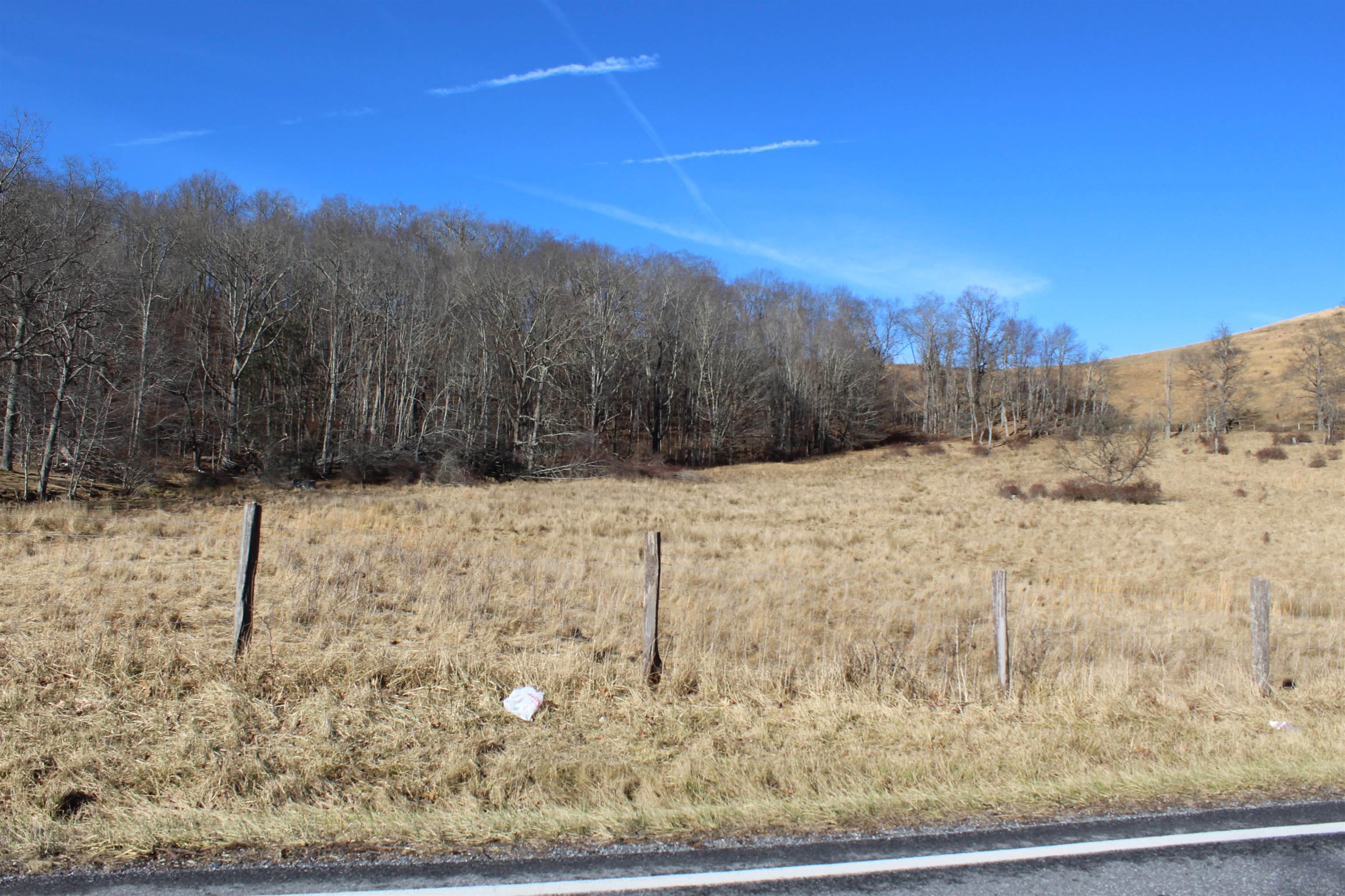 1004 Jackson River Road Monterey, VA 24465 - Photo 4 of 13