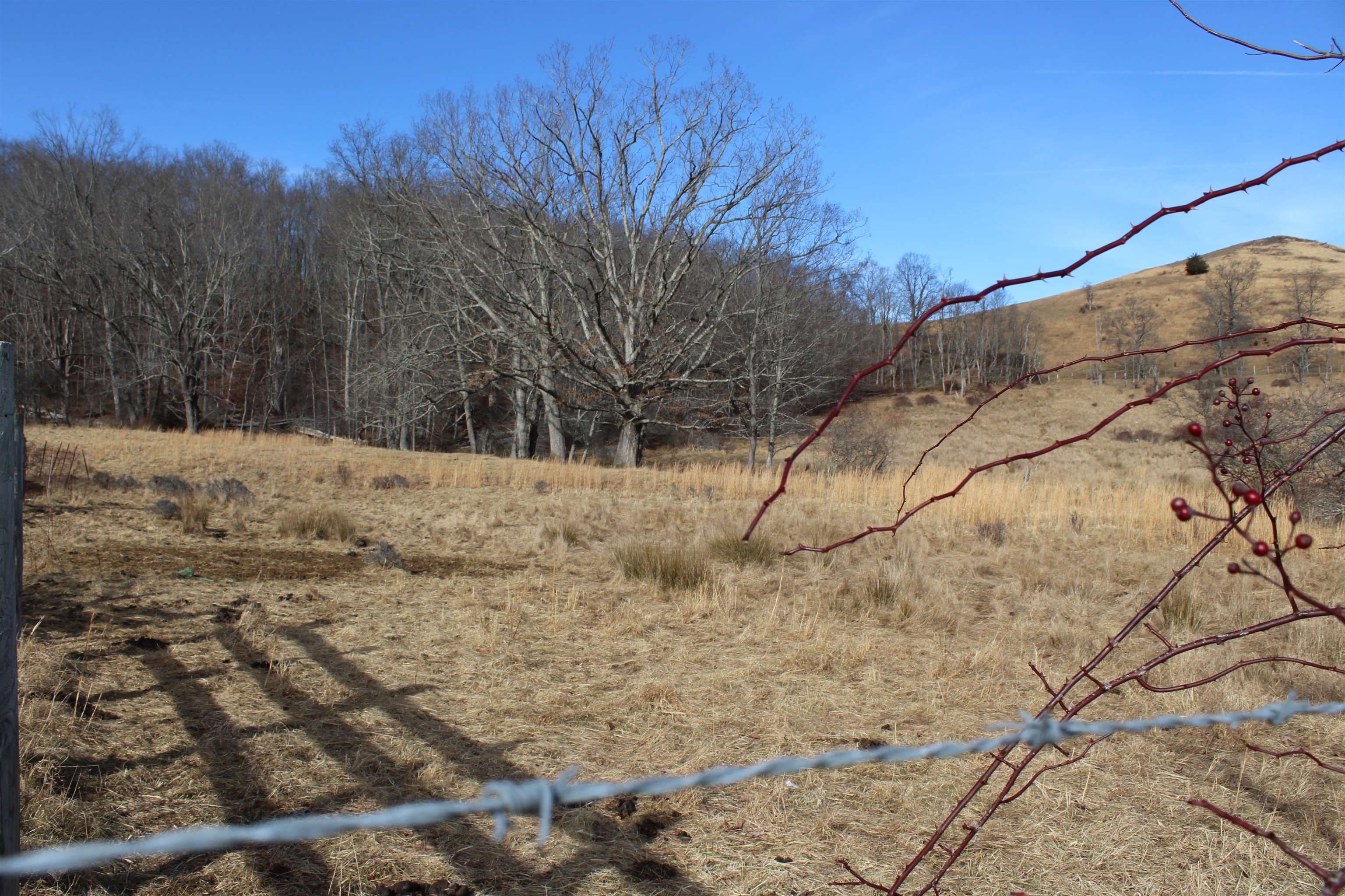 1004 Jackson River Road Monterey, VA 24465 - Photo 5 of 13