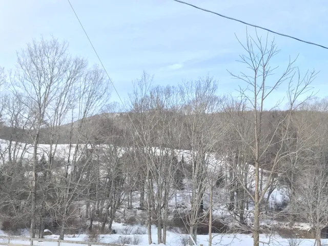 a view of a covered with snow in the background