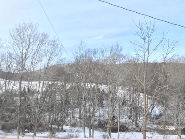 a view of a yard covered with snow
