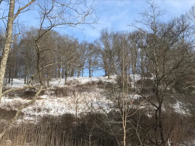 a view of a yard covered with snow