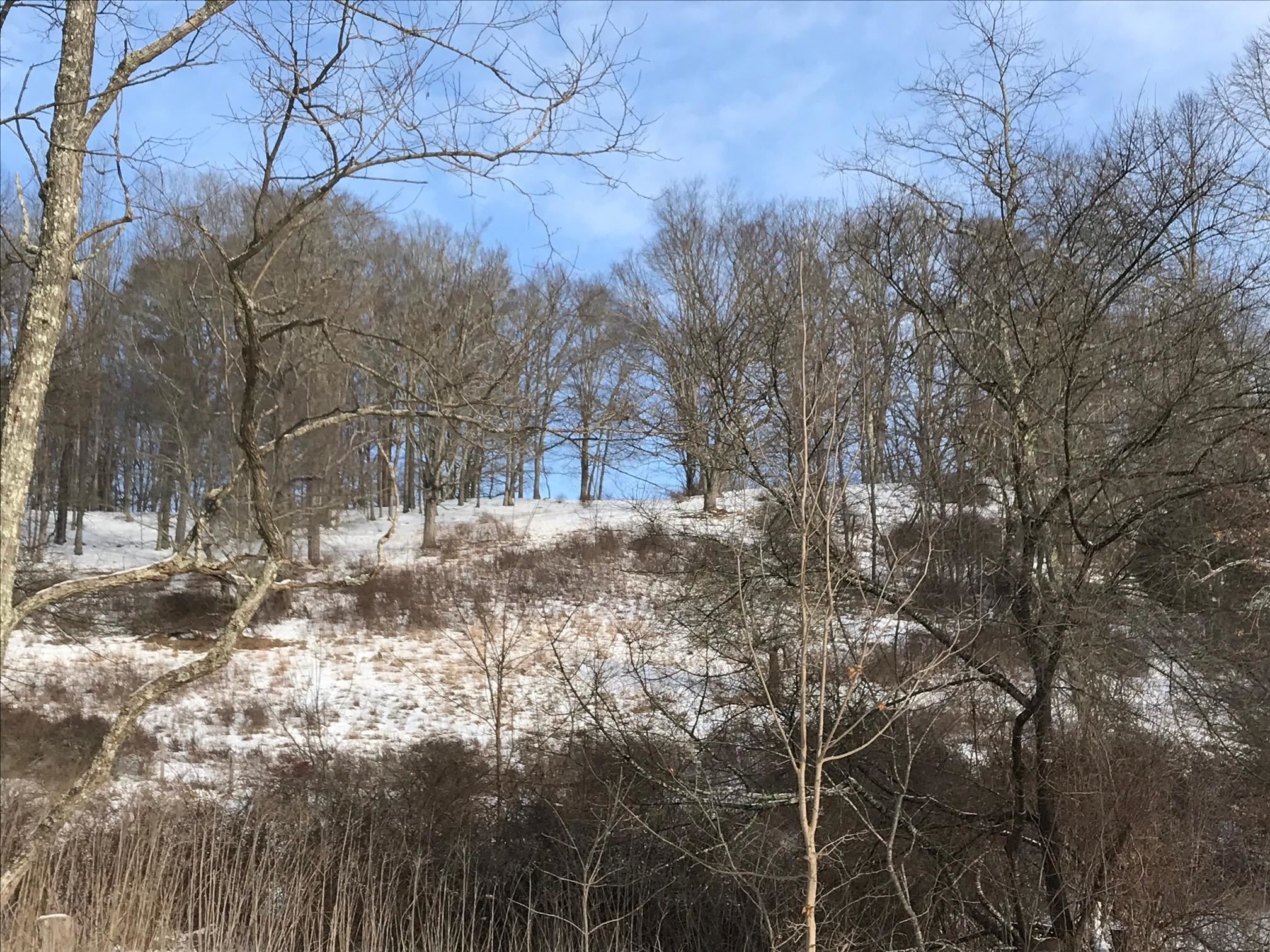 1004 Jackson River Road Monterey, VA 24465 - Photo 7 of 13