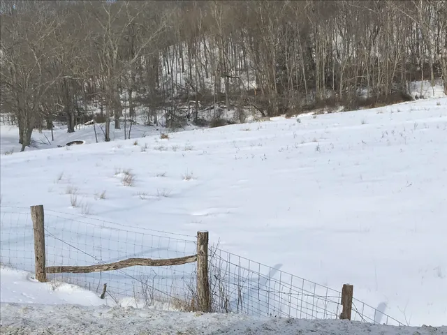 a view of snow covered with snow in the yard