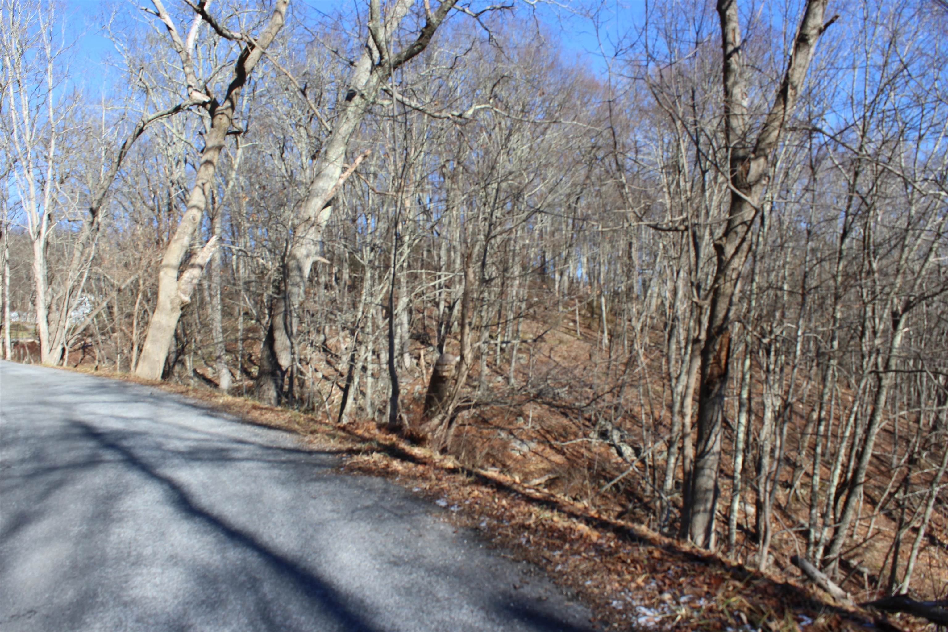 1004 Jackson River Road Monterey, VA 24465 - Photo 9 of 13