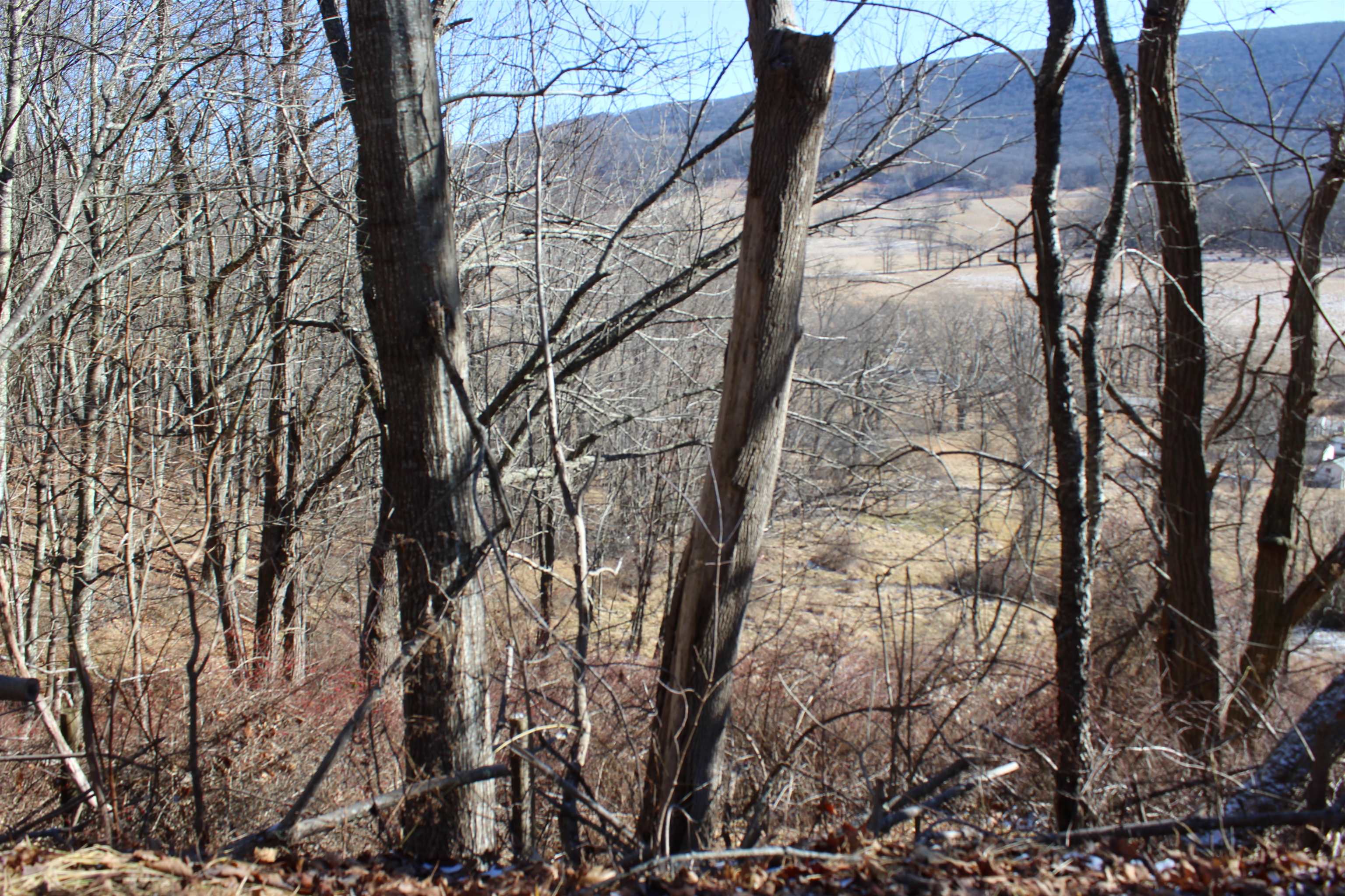 1004 Jackson River Road Monterey, VA 24465 - Photo 10 of 13