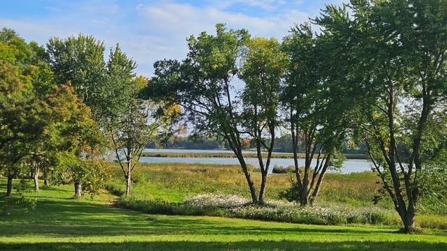 15055 Little Lake Road Center City, MN 55012 - Photo 2 of 14