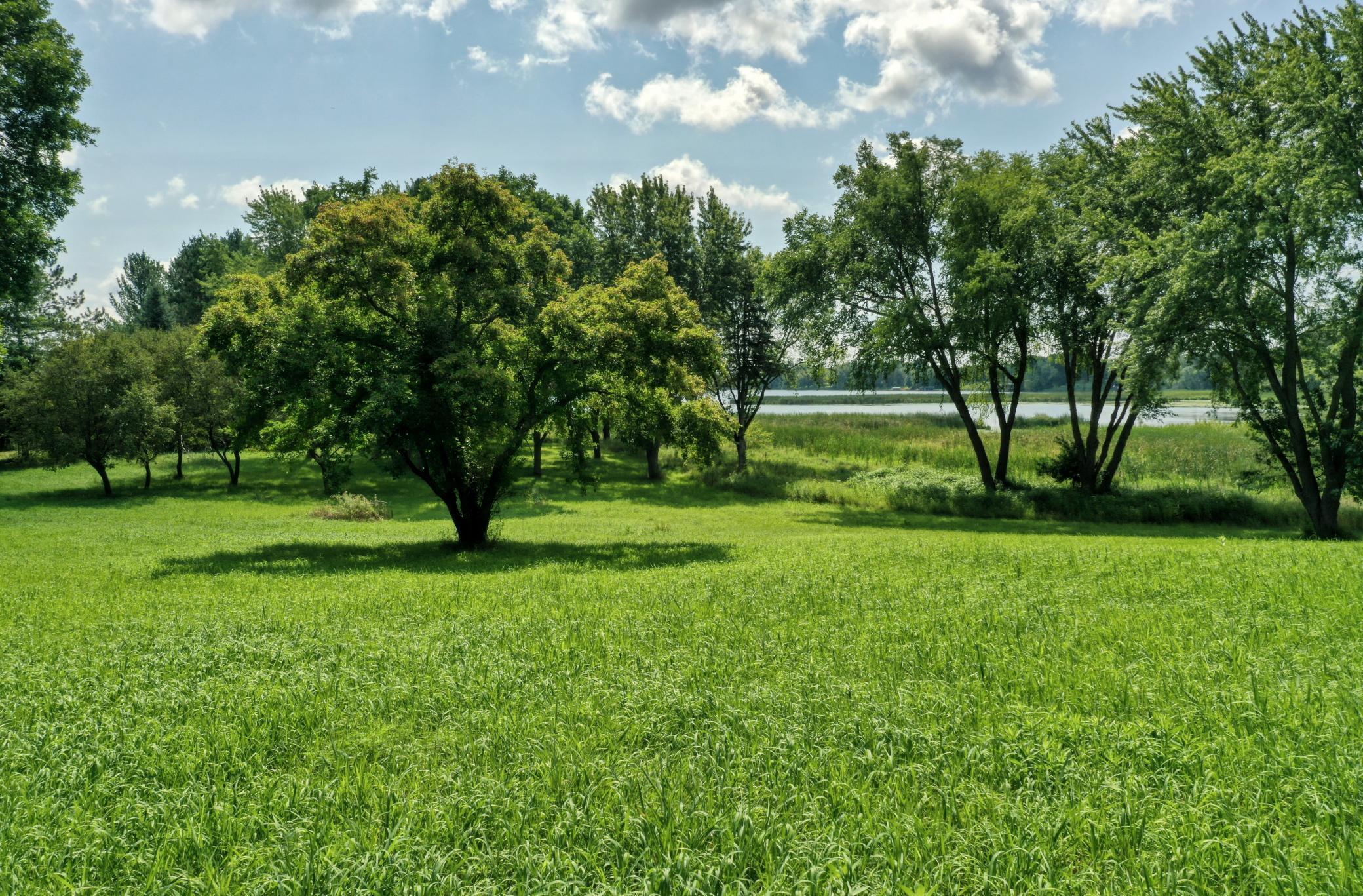 15055 Little Lake Road Center City, MN 55012 - Photo 9 of 14