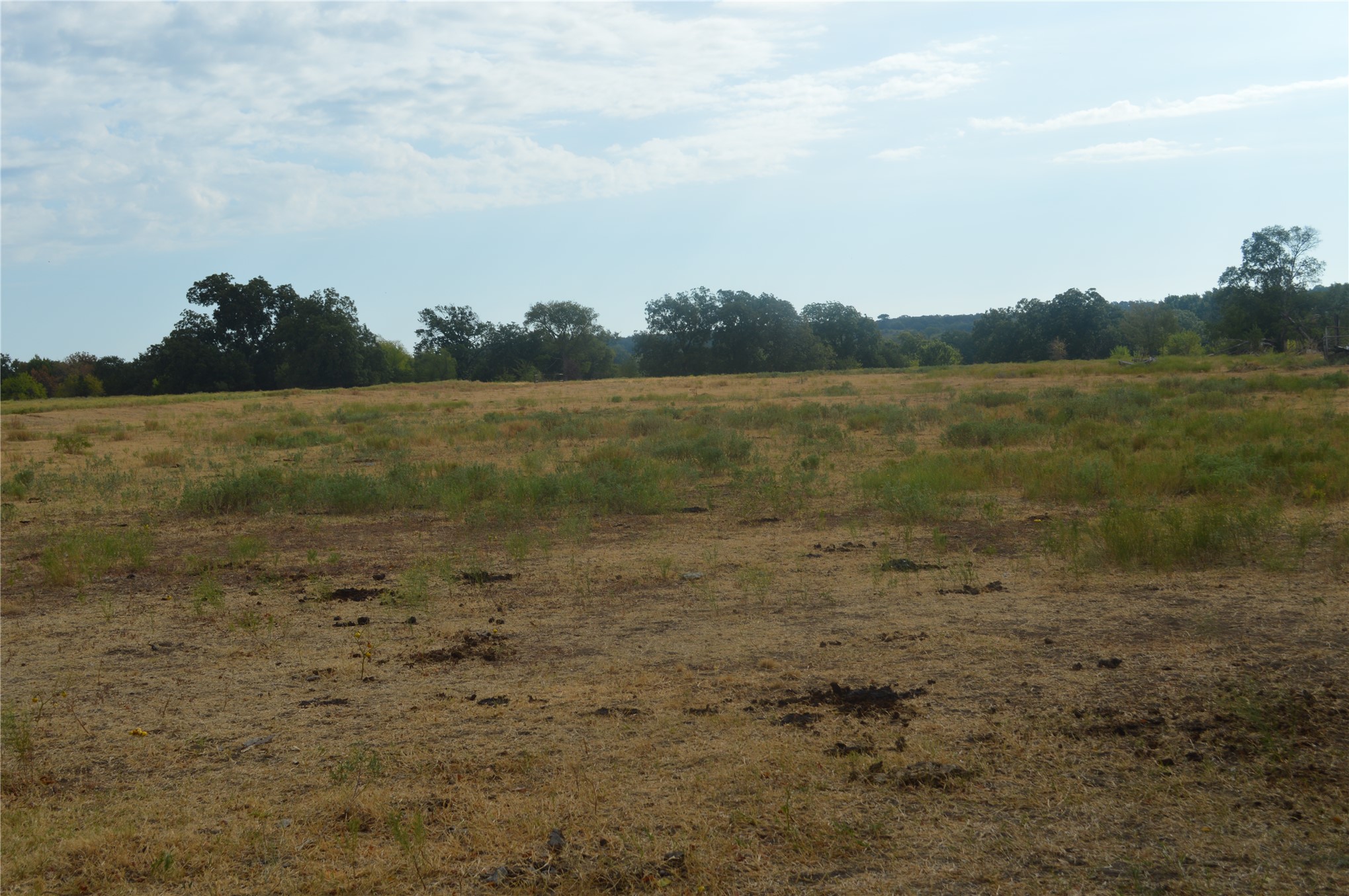 0 Page Road Kingston, OK 73439 - Photo 5 of 9 Expansive open field with scattered green and brown grasses