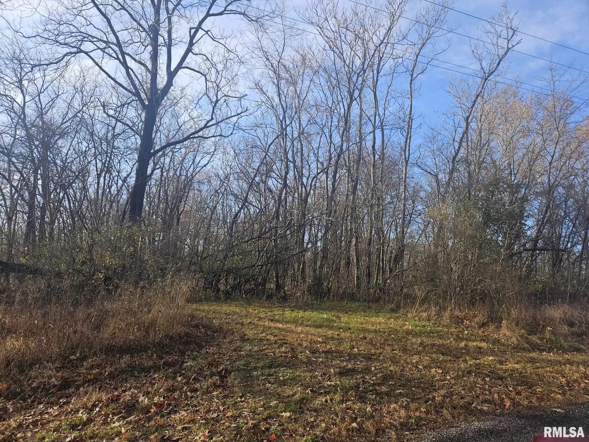 0 Eakin Grove Road Benton, IL 62812 - Photo 4 of 17 Gallery Image 4