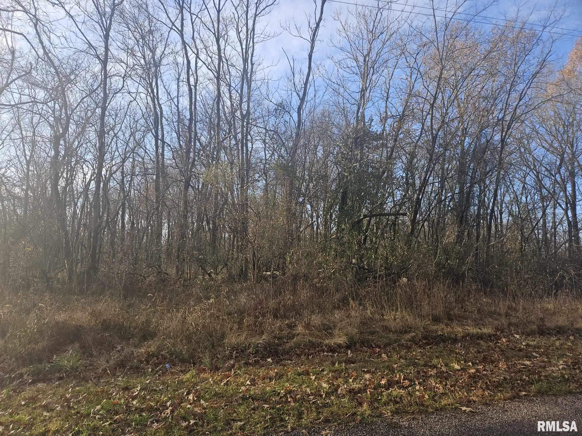 0 Eakin Grove Road Benton, IL 62812 - Photo 5 of 17 Gallery Image 5