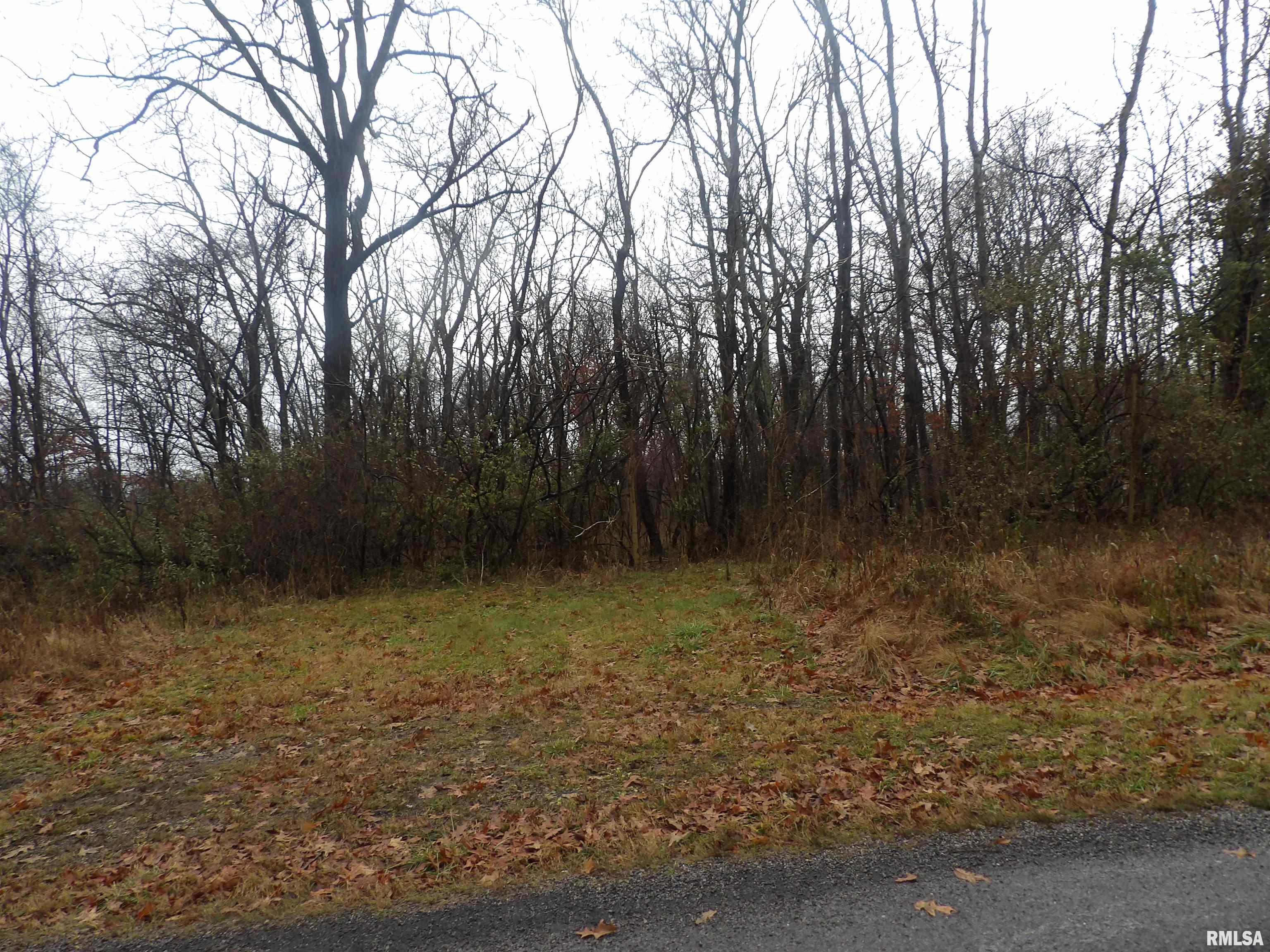 0 Eakin Grove Road Benton, IL 62812 - Photo 7 of 17 Gallery Image 7