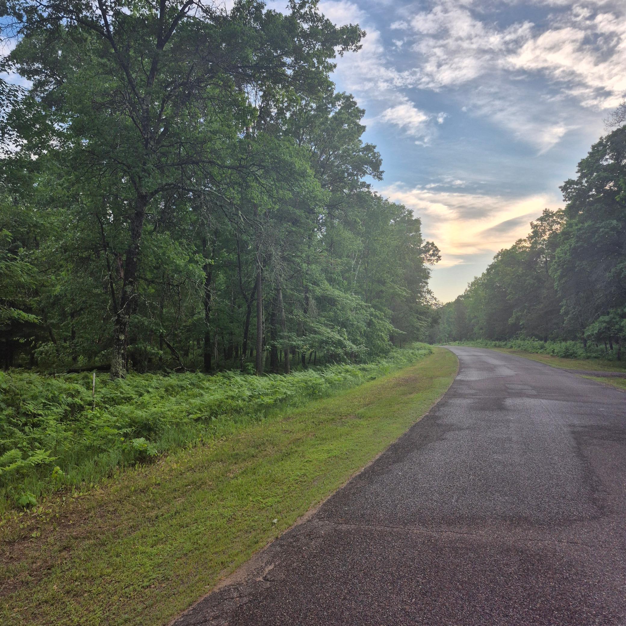 Lot 216 Deerpath Road Danbury, WI 54830 - Photo 3 of 7