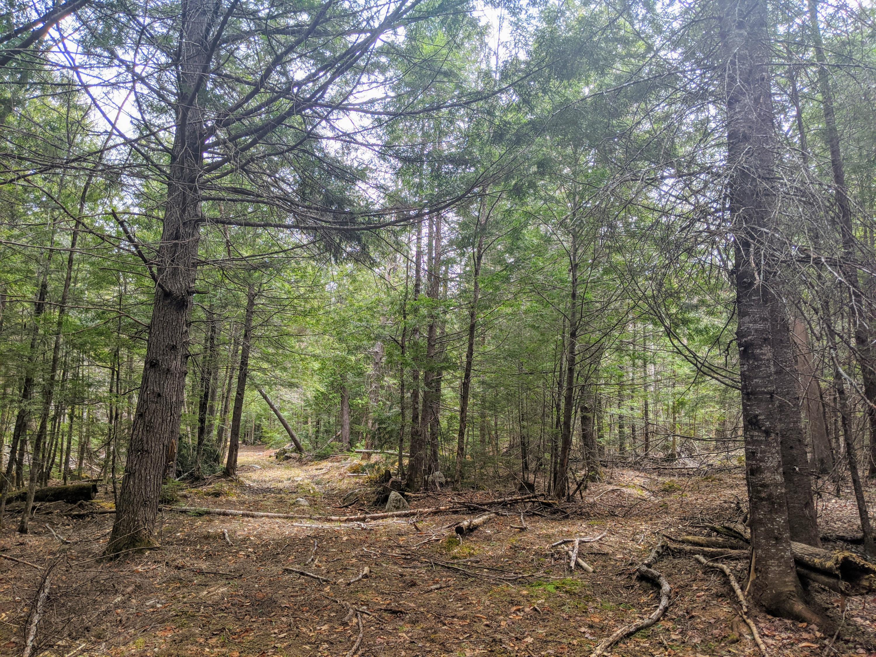 0 State Park Road Dover-Foxcroft, ME 04426 - Photo 23 of 29 IMG_20210429_123214