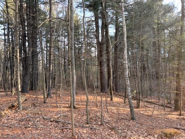 41 North Main Street Plaistow, NH 03865 - Photo 6 of 26