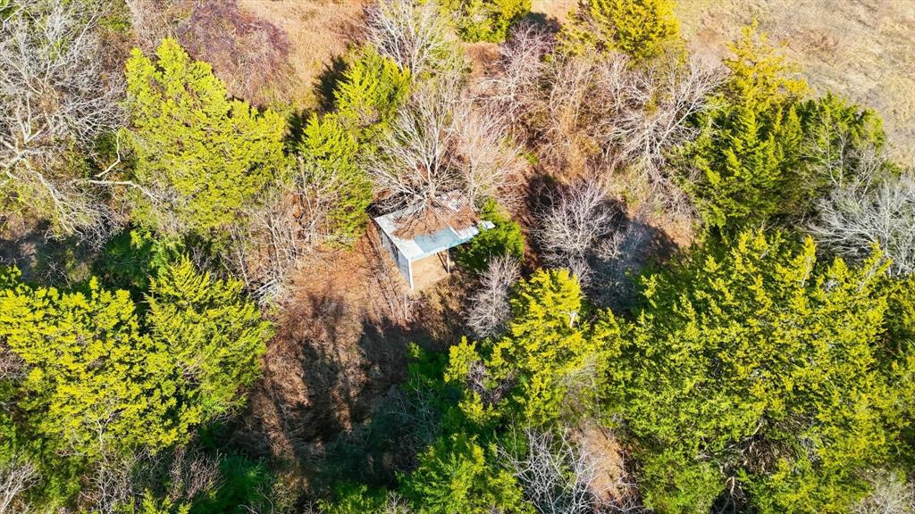 4640 Noell Road Van Alstyne, TX 75495 - Photo 25 of 34 a backyard of a house with lots of green space and garden