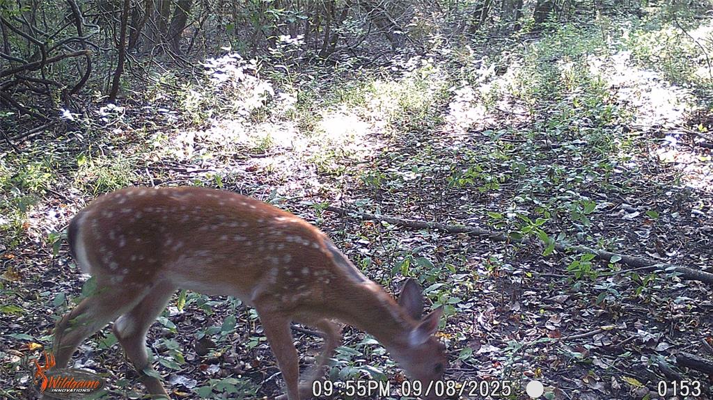 4640 Noell Road Van Alstyne, TX 75495 - Photo 32 of 34 a view of outdoor space and a yard