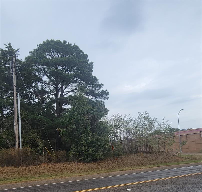 3907 Stone Road Kilgore, TX 75662 - Photo 4 of 4 a view of a yard