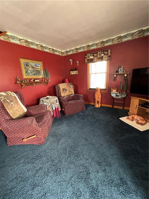 452 Webster Street Rochester, PA 15074 - Photo 12 of 34 Livingrom