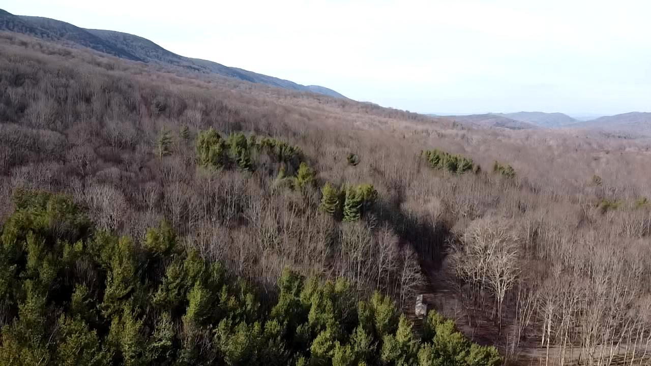 5851 Zenith Road Waiteville, WV 24984 - Photo 64 of 75 Gallery Image 64