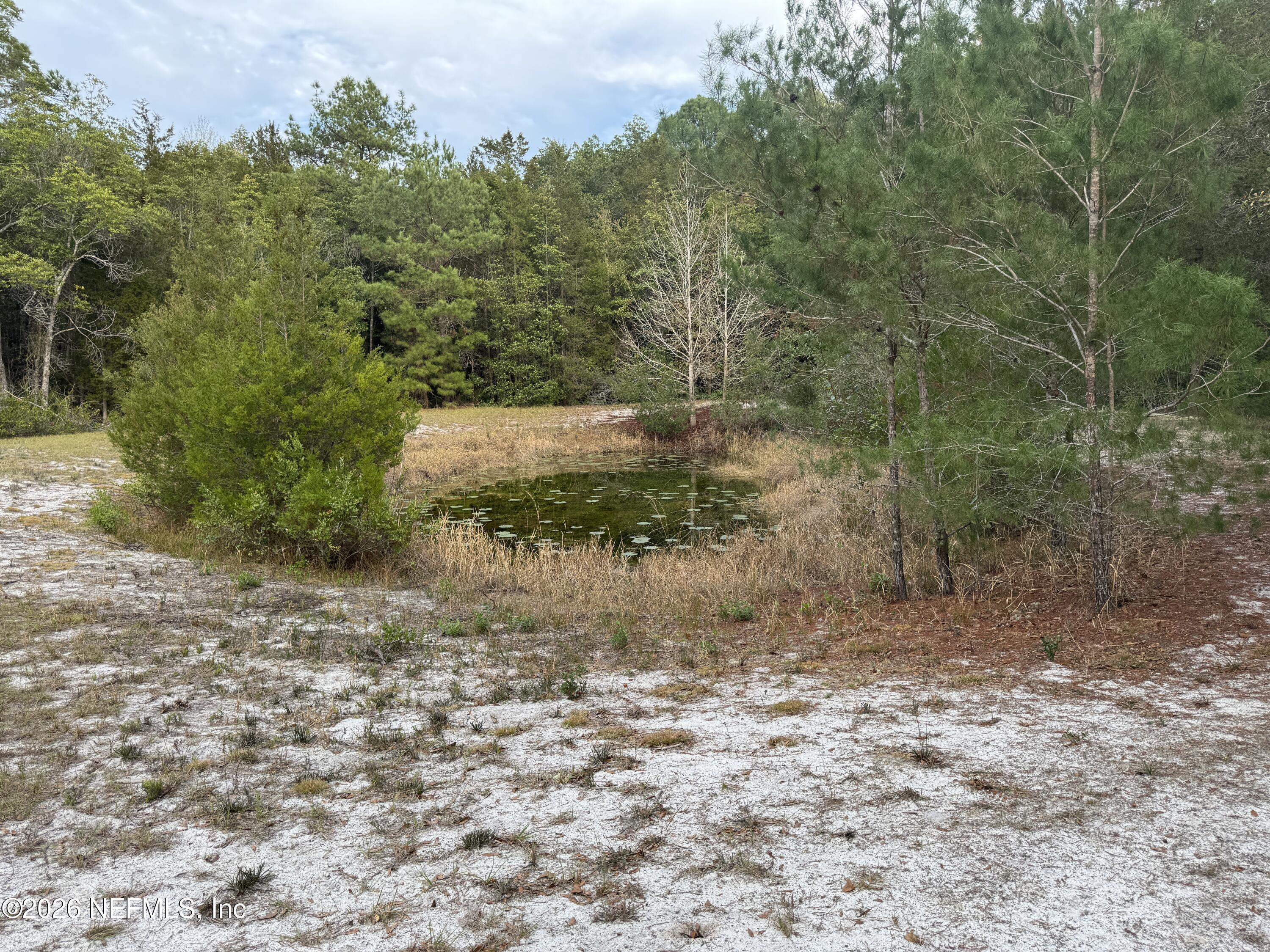 850 Cousintown Road Interlachen, FL 32148 - Photo 24 of 27 a view of a dry yard with trees