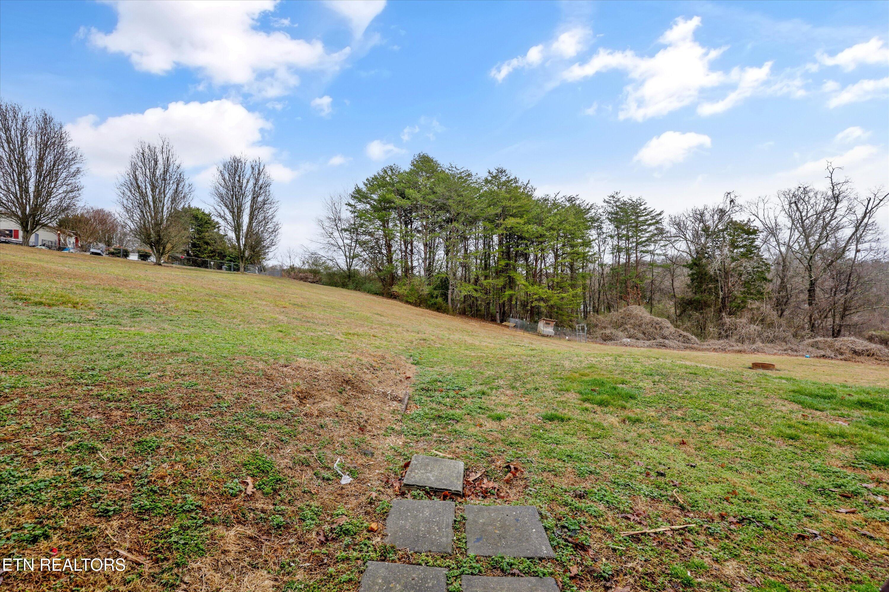 47 Paint Rock Ferry Road Kingston, TN 37763 - Photo 29 of 38 29-47 Paint Rock Ferry Rd 27