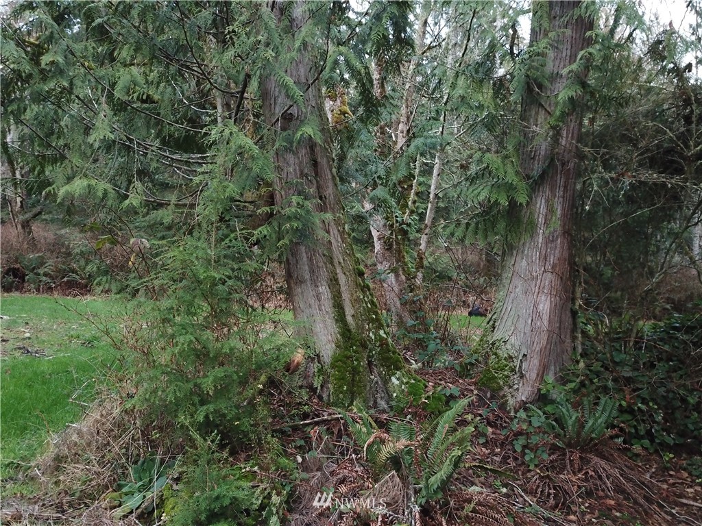 Seven 7 Sisters Road Port Ludlow, WA 98365 - Photo 14 of 25 Gallery Image 14