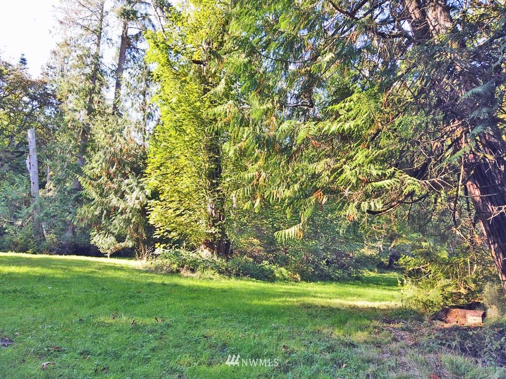 Seven 7 Sisters Road Port Ludlow, WA 98365 - Photo 4 of 25 Gallery Image 4