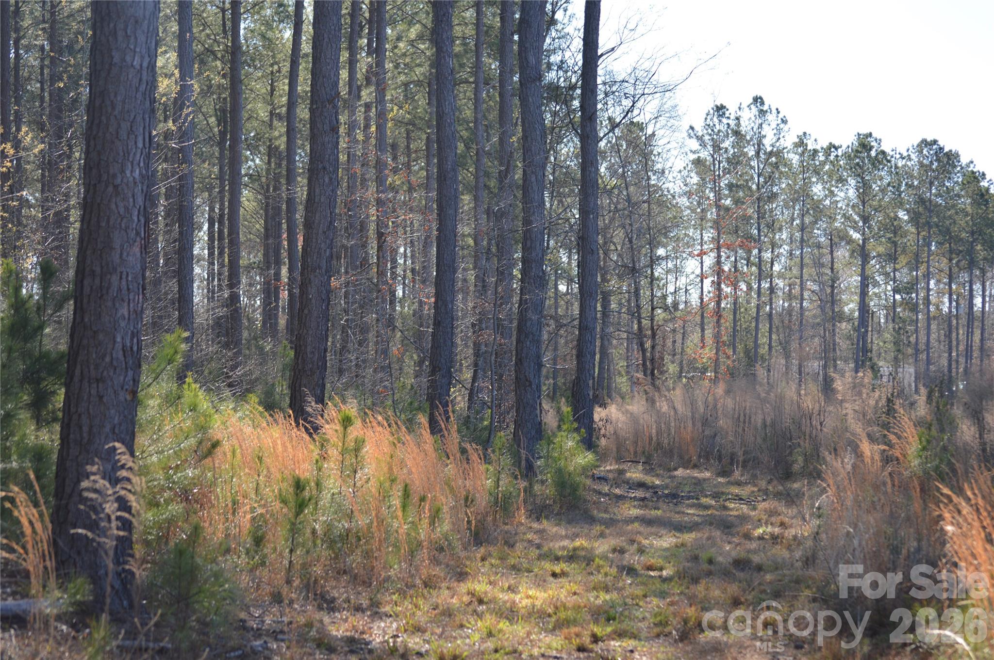 0 Peter Hawk Creek Road, Unit 14 Jonesville, SC 29353 - Photo 15 of 23 a view of backyard with green space