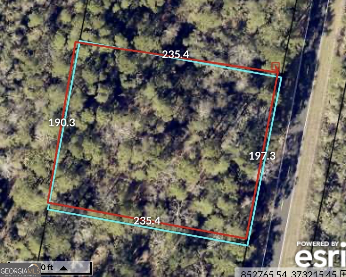 0 Piney Bluff Road Waverly, GA 31565 - Photo 2 of 8